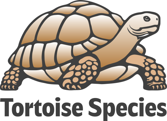 logo-tortoise-species1